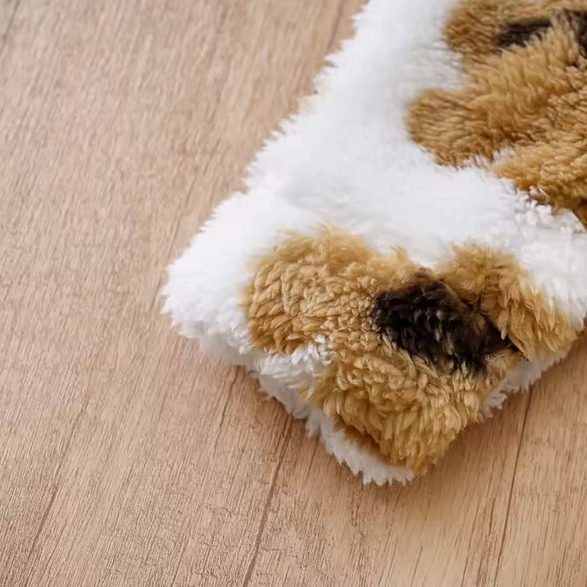WHITE FLUFFY BEAR FULL BODY